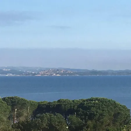 Letizia