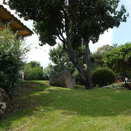 Letizia Villa *